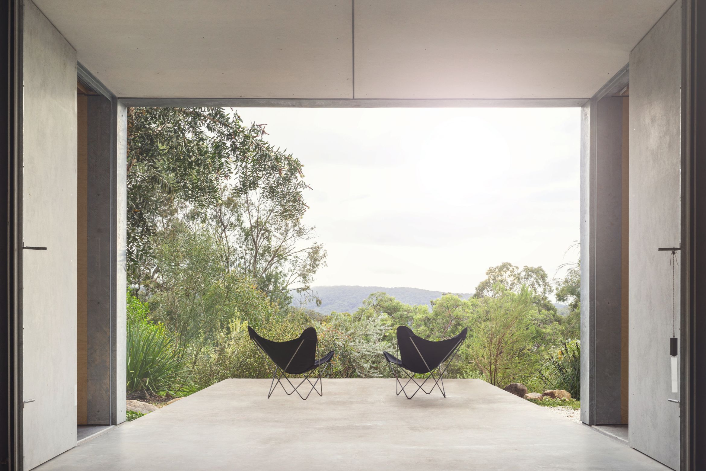 At one with the eucalypts